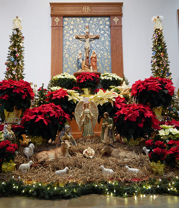 Nativity with straw, poinsettias, and trees